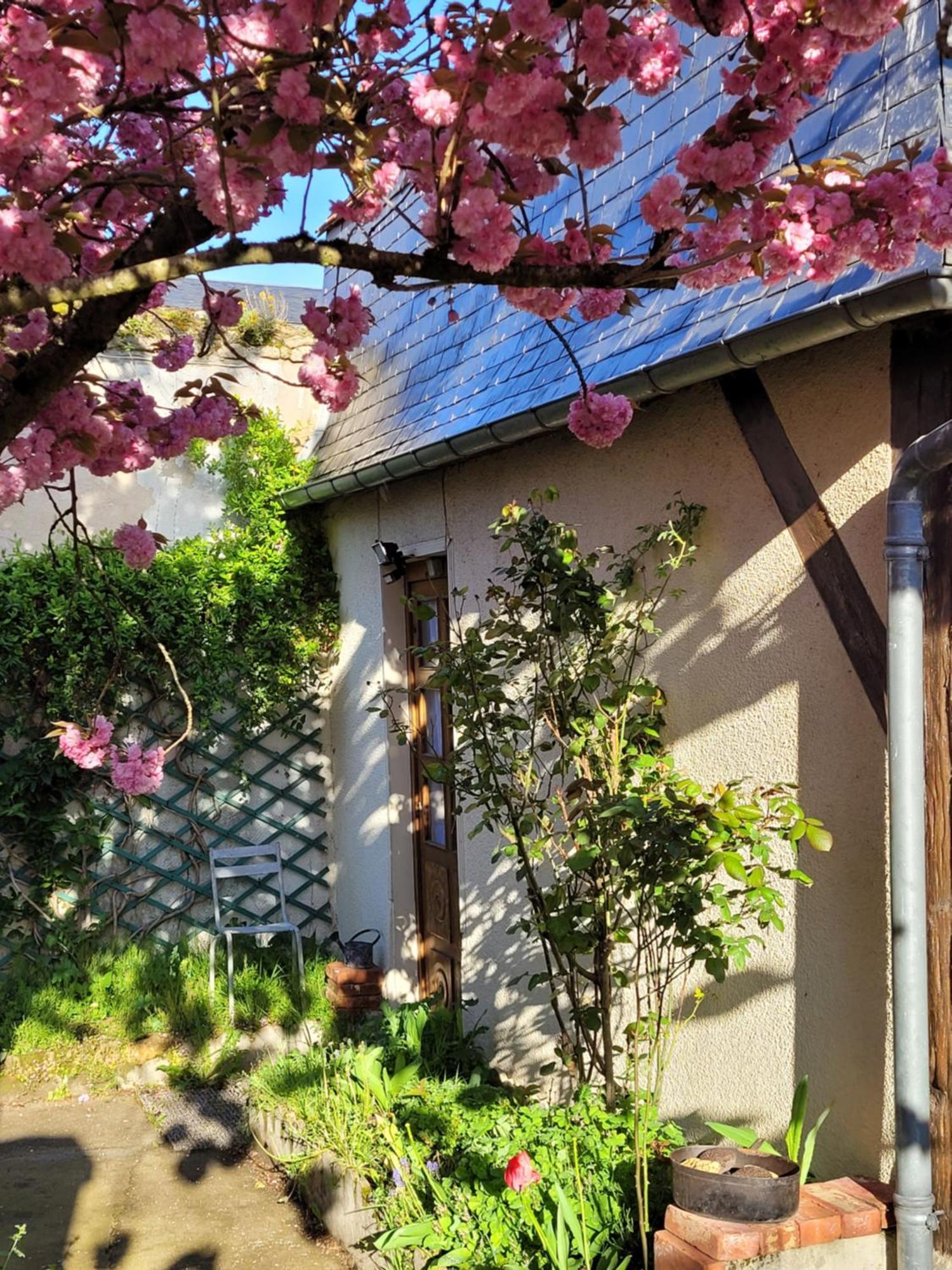 La Cour Du Chateau La Charité-sur-Loire Eksteriør billede